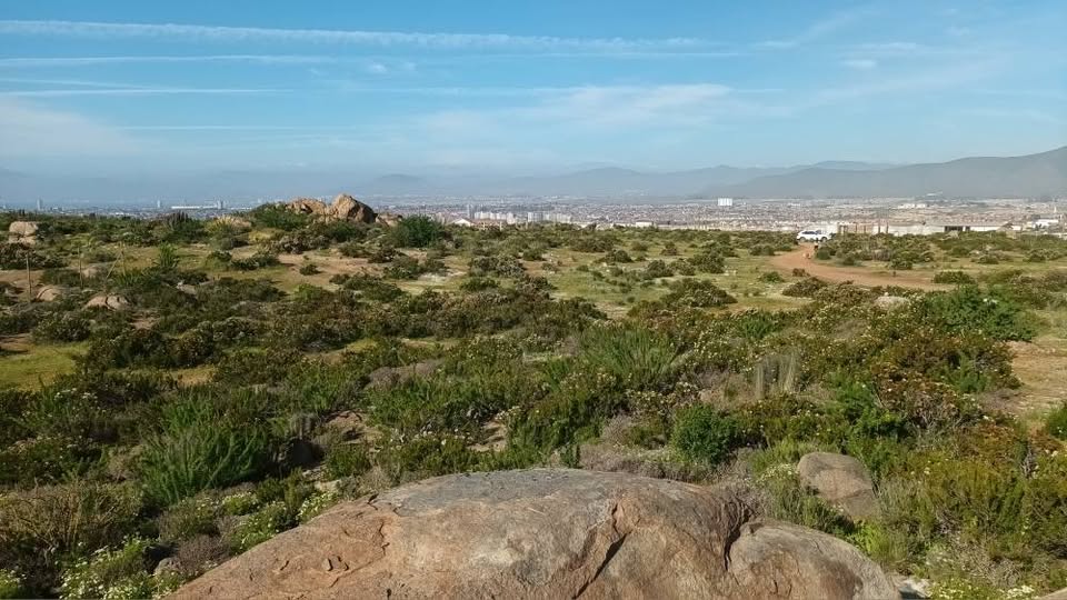 Amplitud del terreno con Coquimbo al fondo